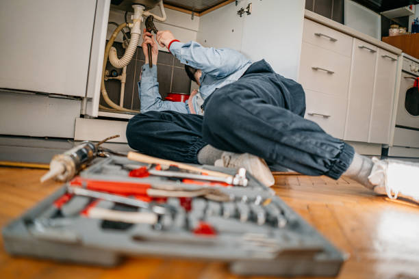 Best Water Softener Installation  in Paloma Creek South, TX
