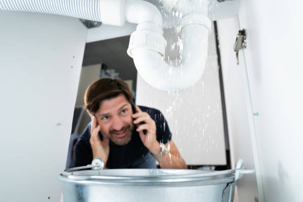 Best Local Plumber Services  in Paloma Creek South, TX