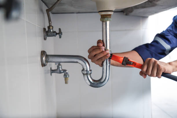 Best Water Softener Installation  in Paloma Creek South, TX